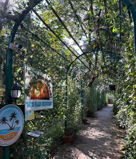 Oasis Beach Restaurant & Bar