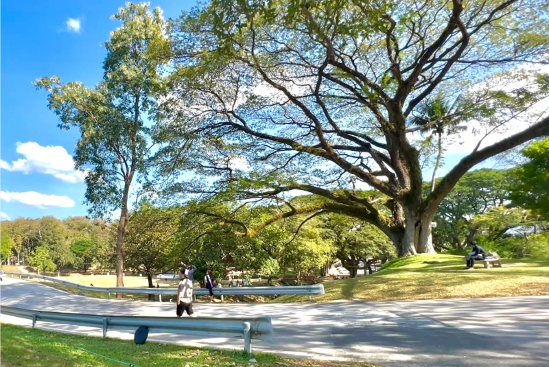 Chiang Mai University