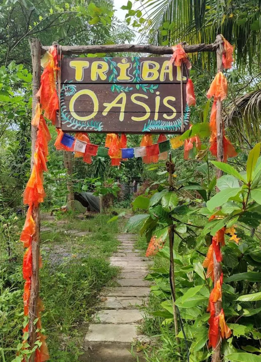 Tribal Oasis