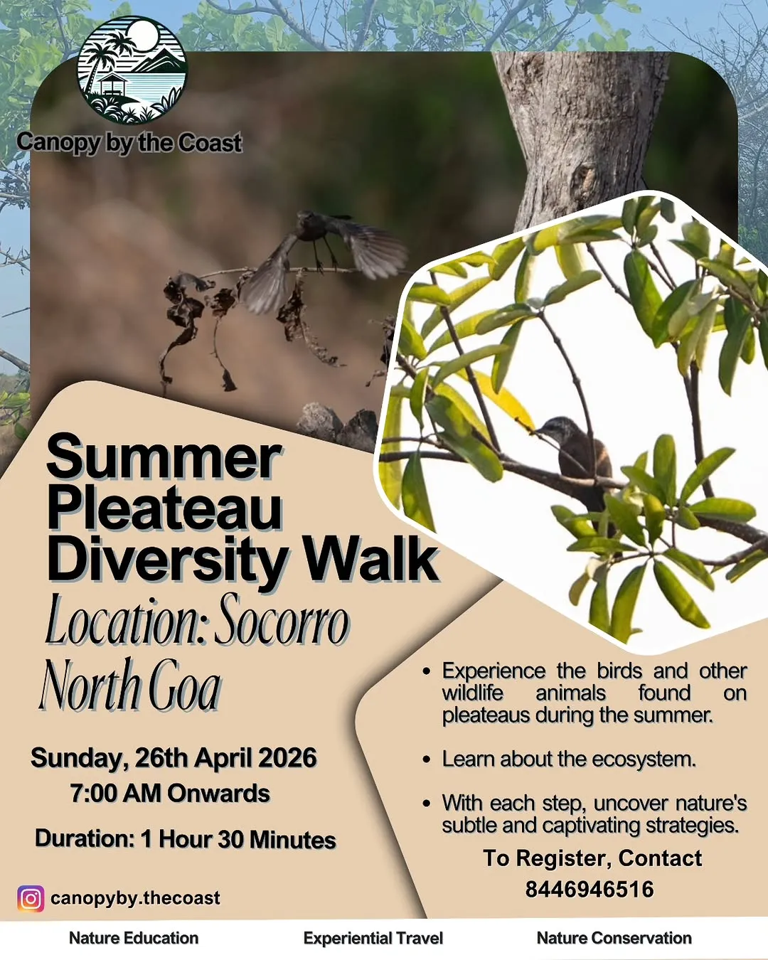 Canopy by the Coast: Socorro Plateau Exploration