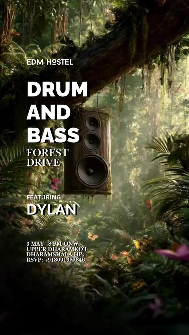 Forest Drive Drum and Bass Night