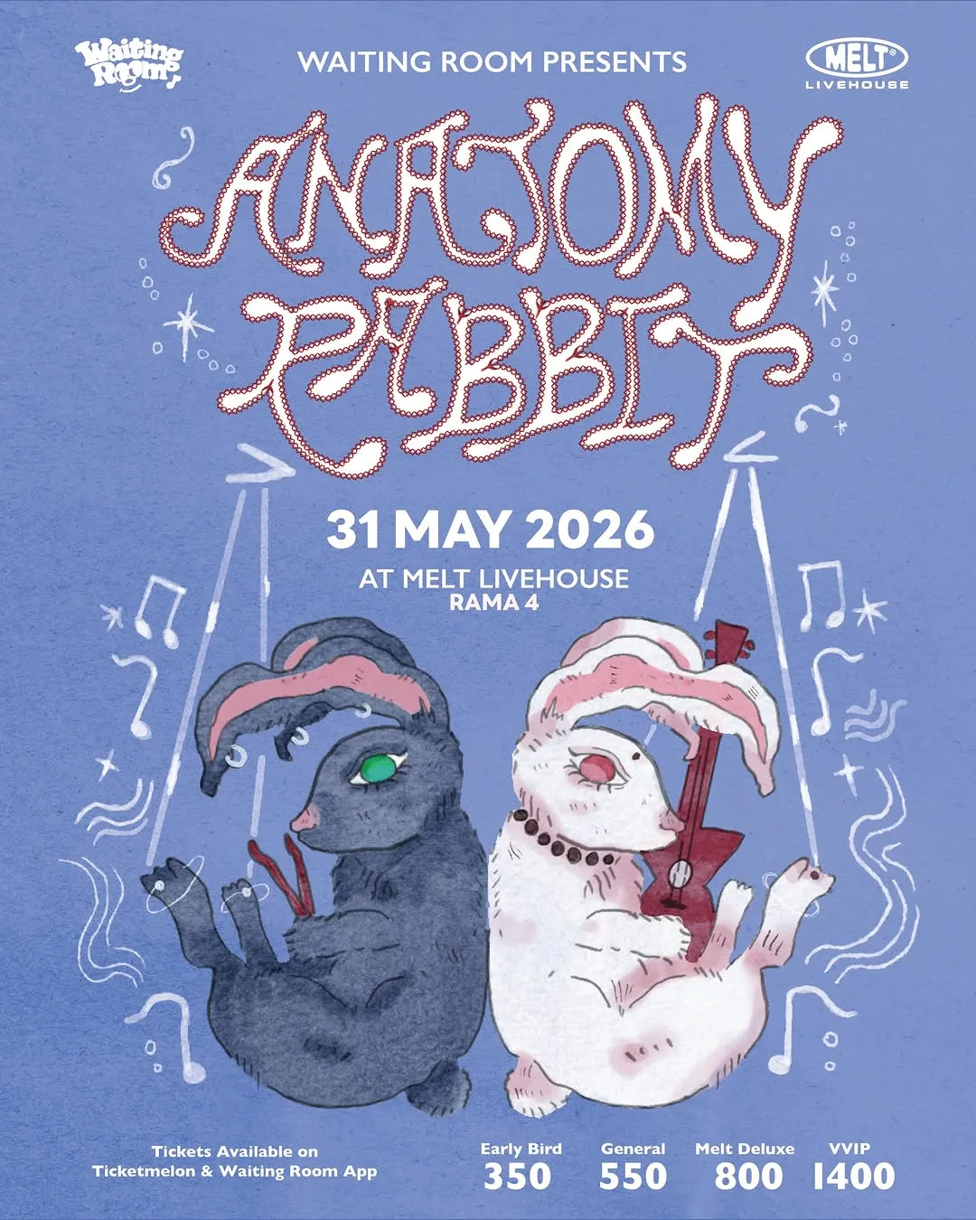 Anatomy Rabbit Live