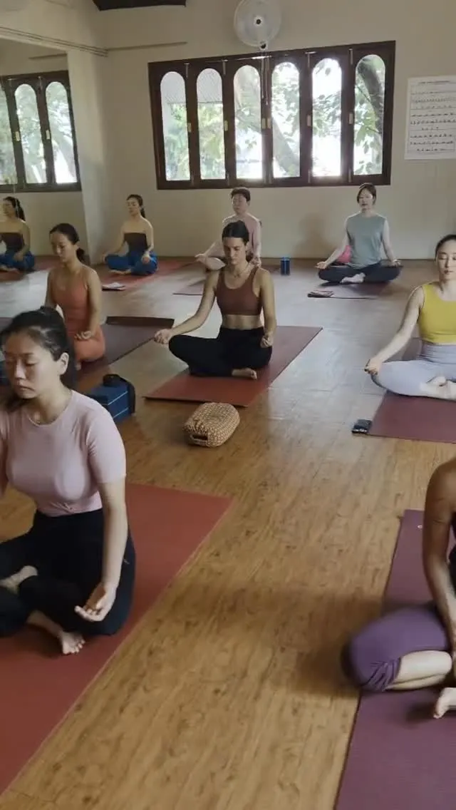 Ashtanga Vinyasa with Miyu Ying