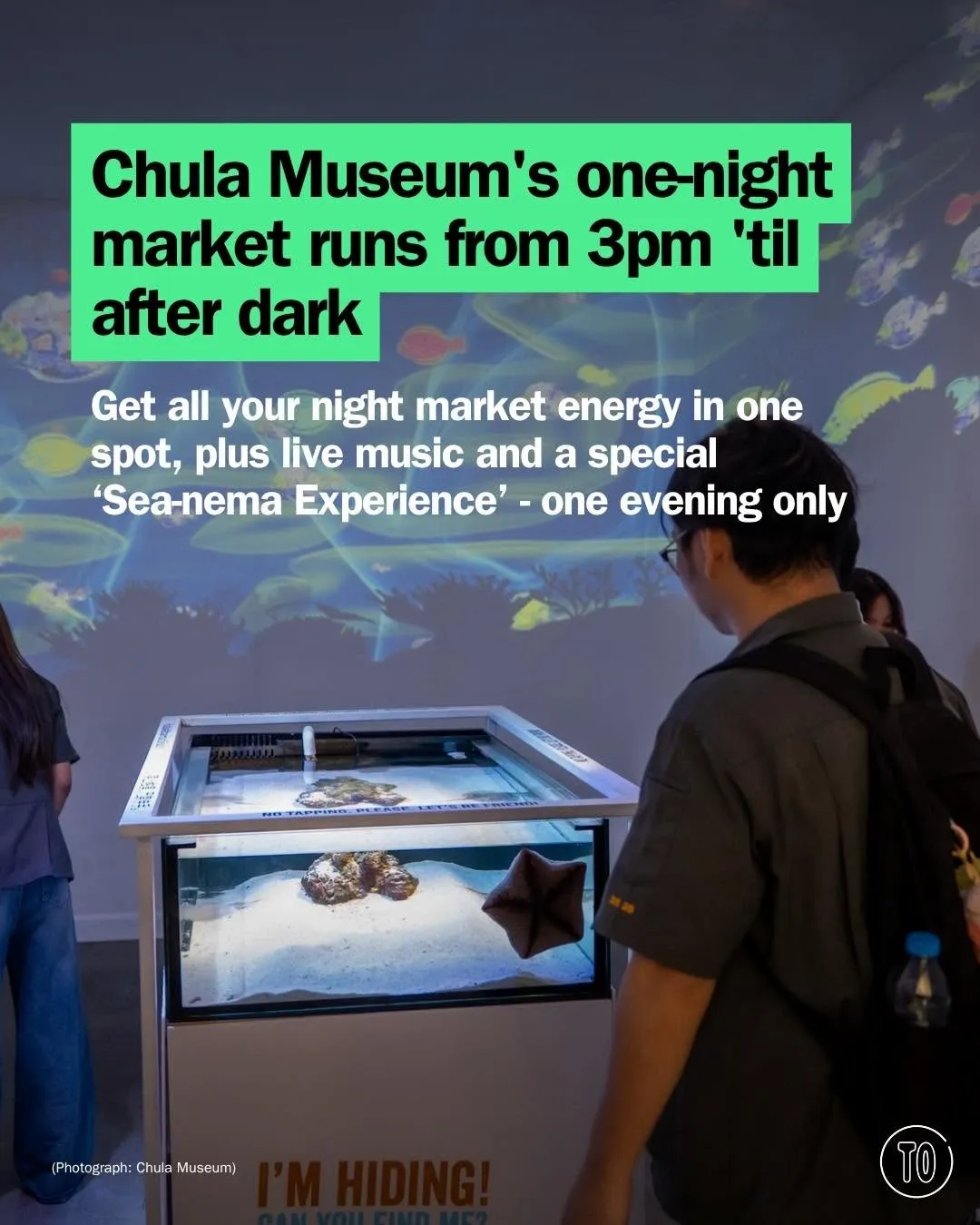 Chula Museum Night Market