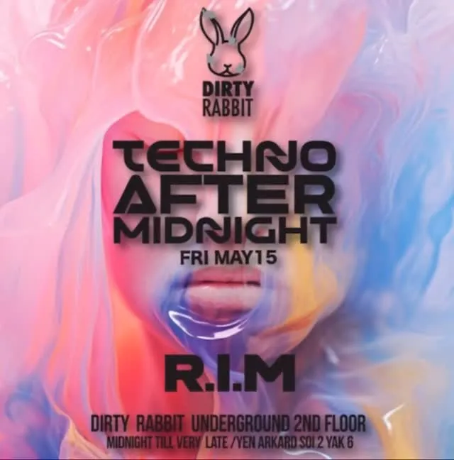 Techno After Midnight Party