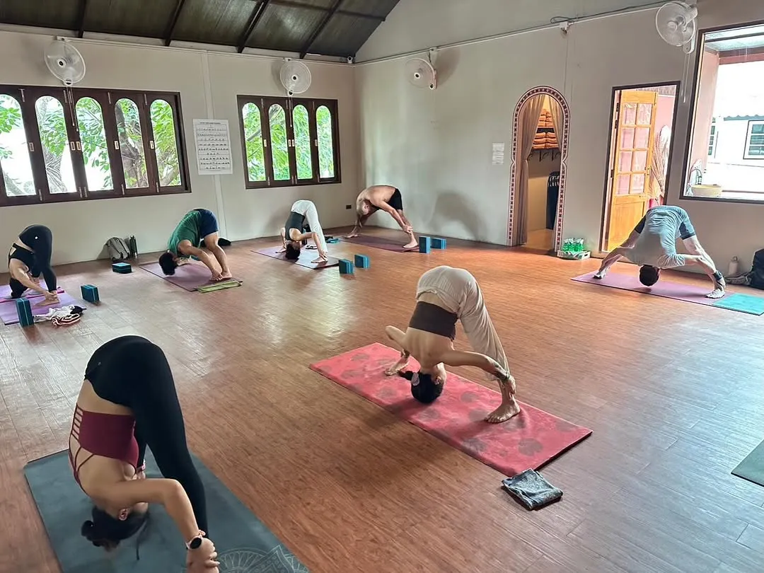 Power Vinyasa with Aor