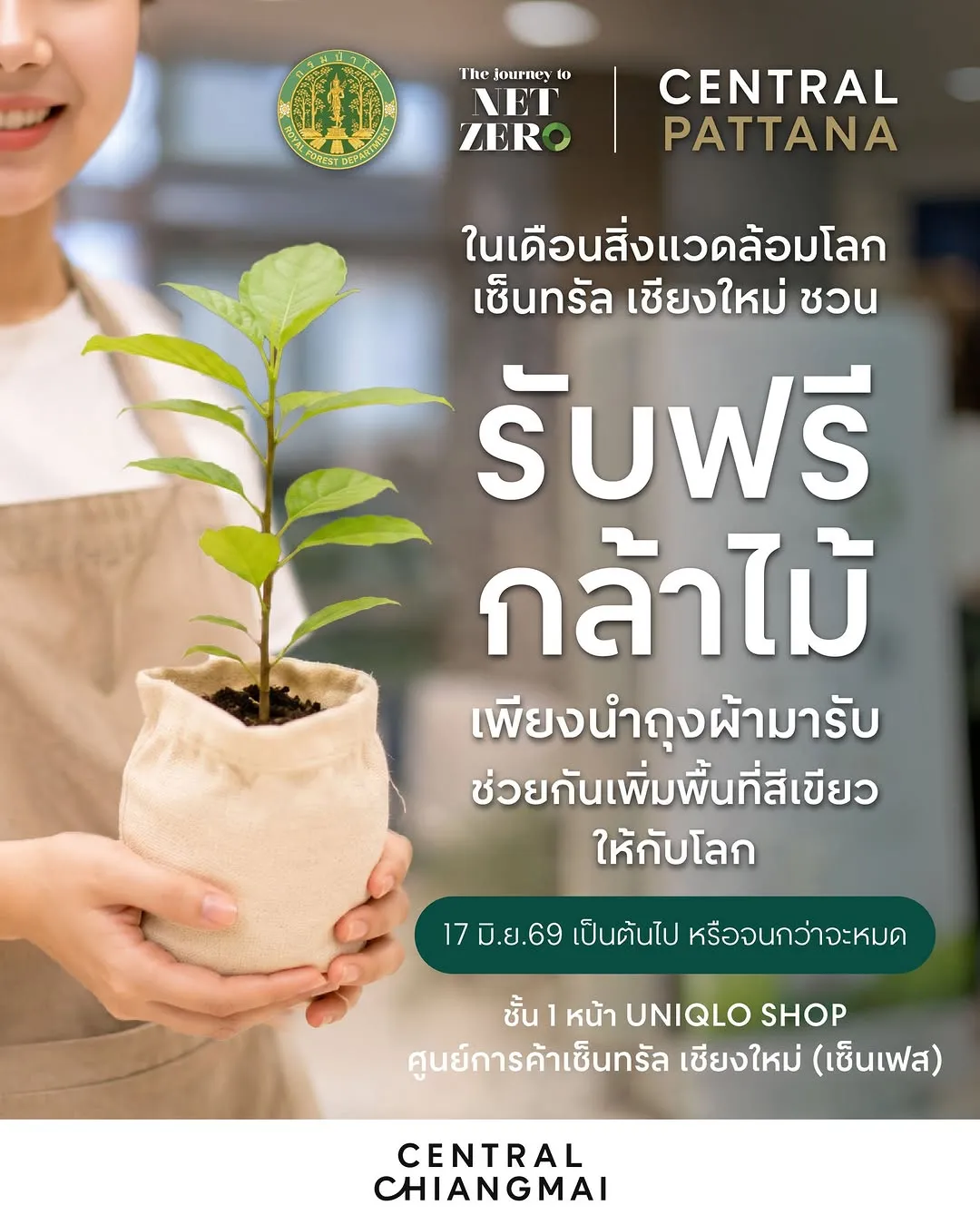 Central Pattana 46th Anniversary Tree Giveaway