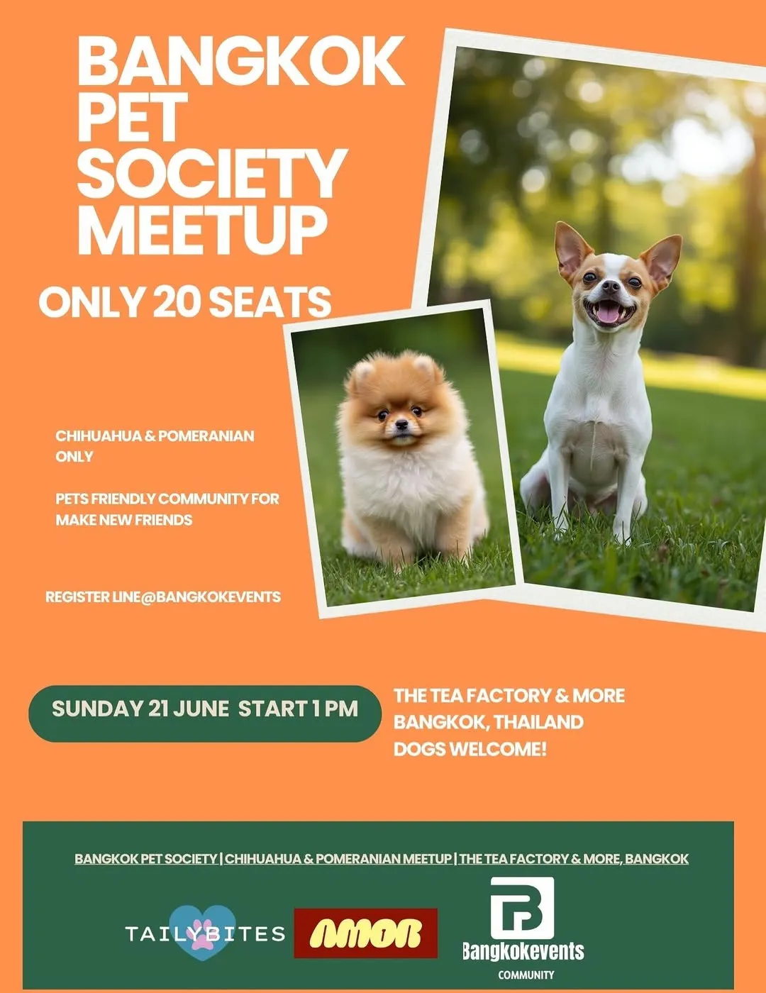 Bangkok Coffee Meet With Pets